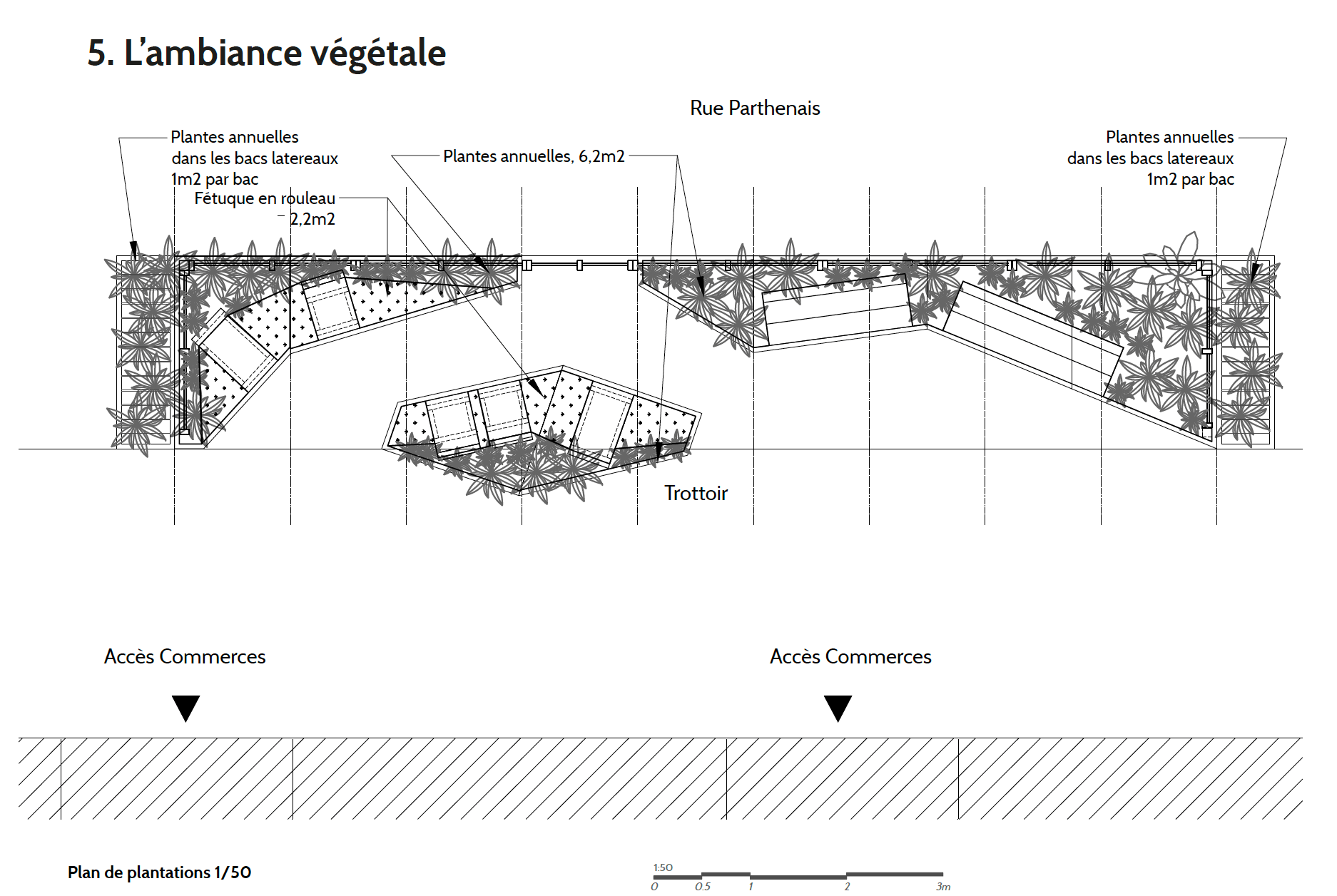 Plan de plantations