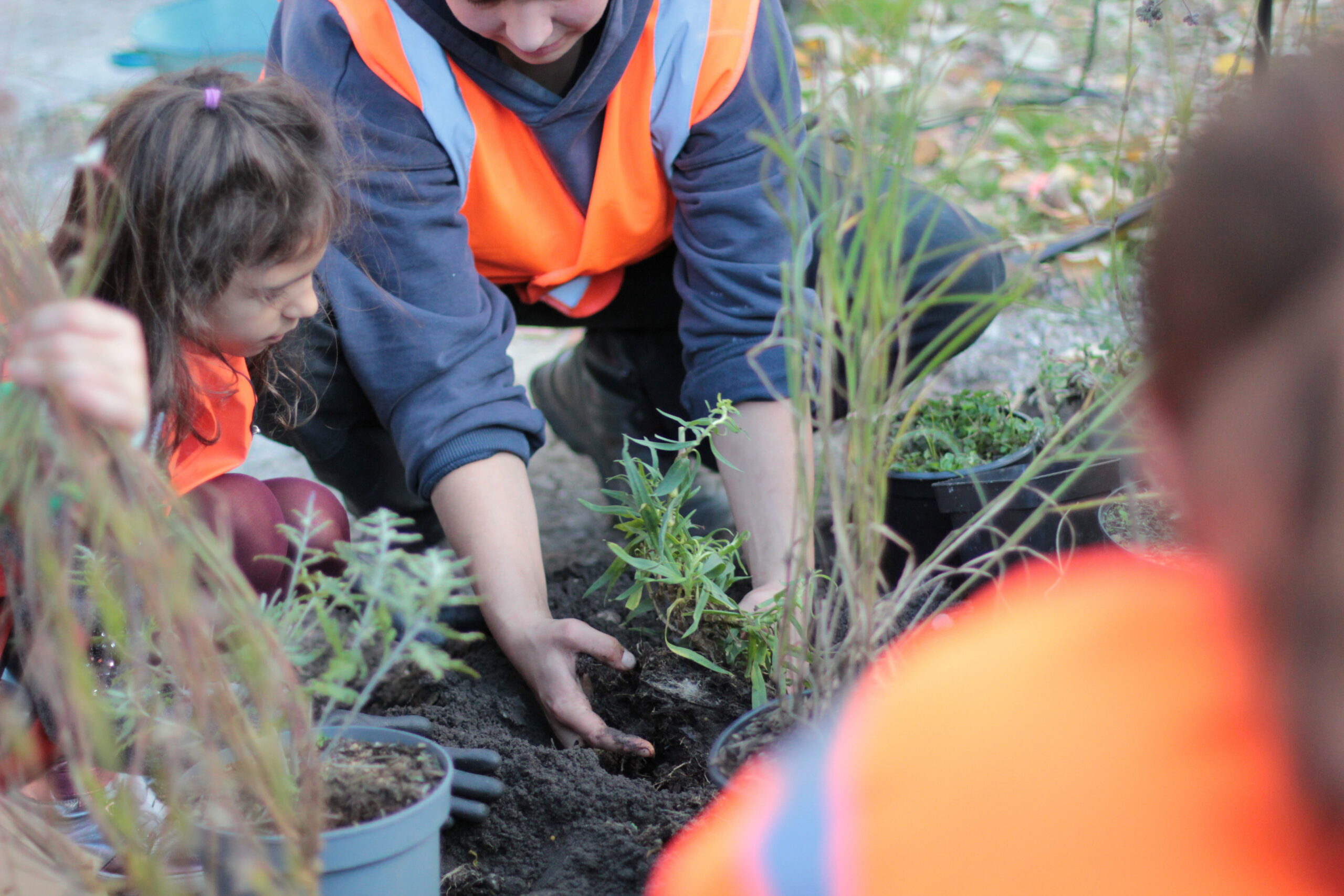 l-ateliersdepossibles _allees de tourny_croisiere pietonne3