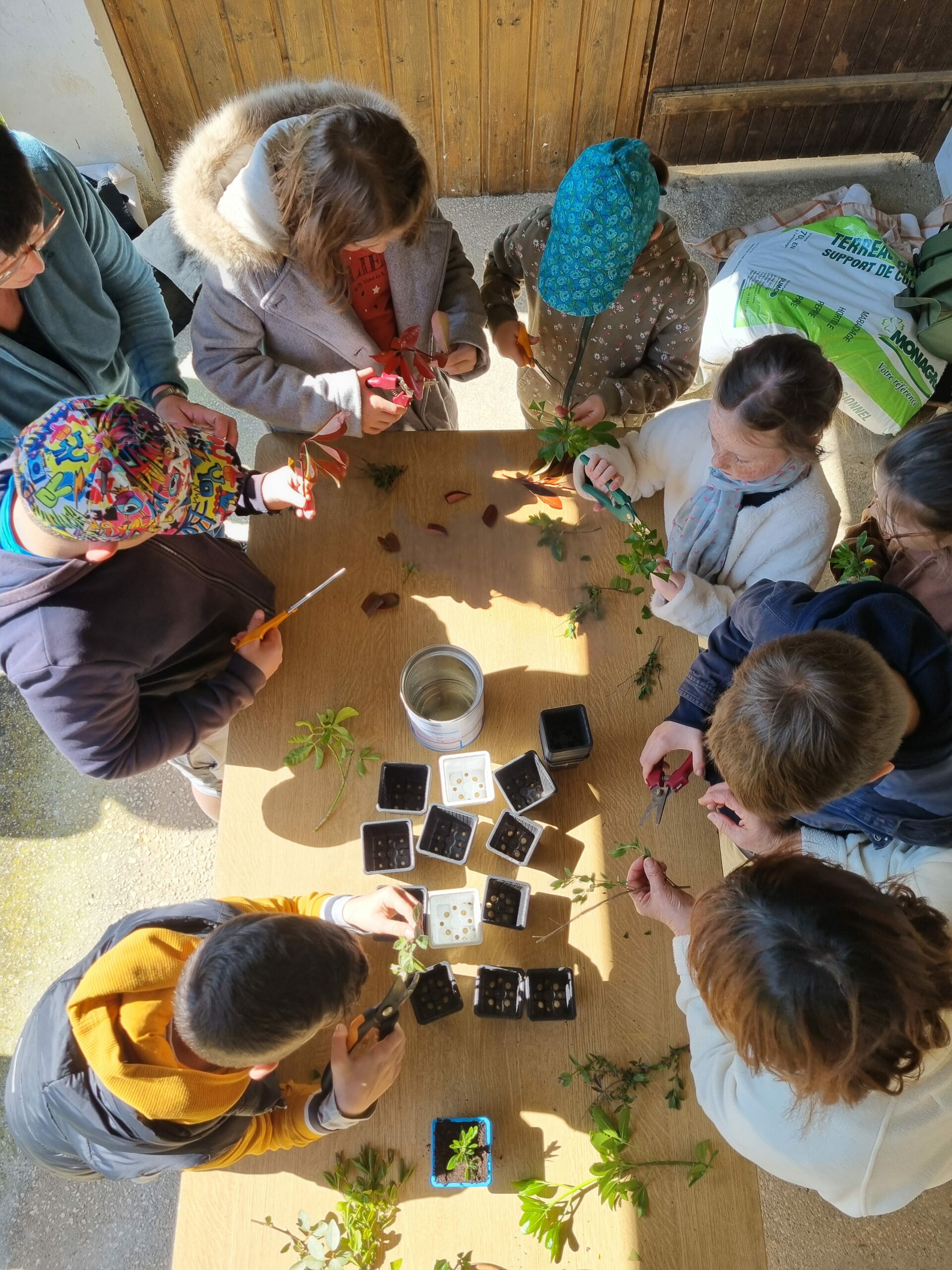 l-ateliersdepossibles _ams tram graines_atelier bouture