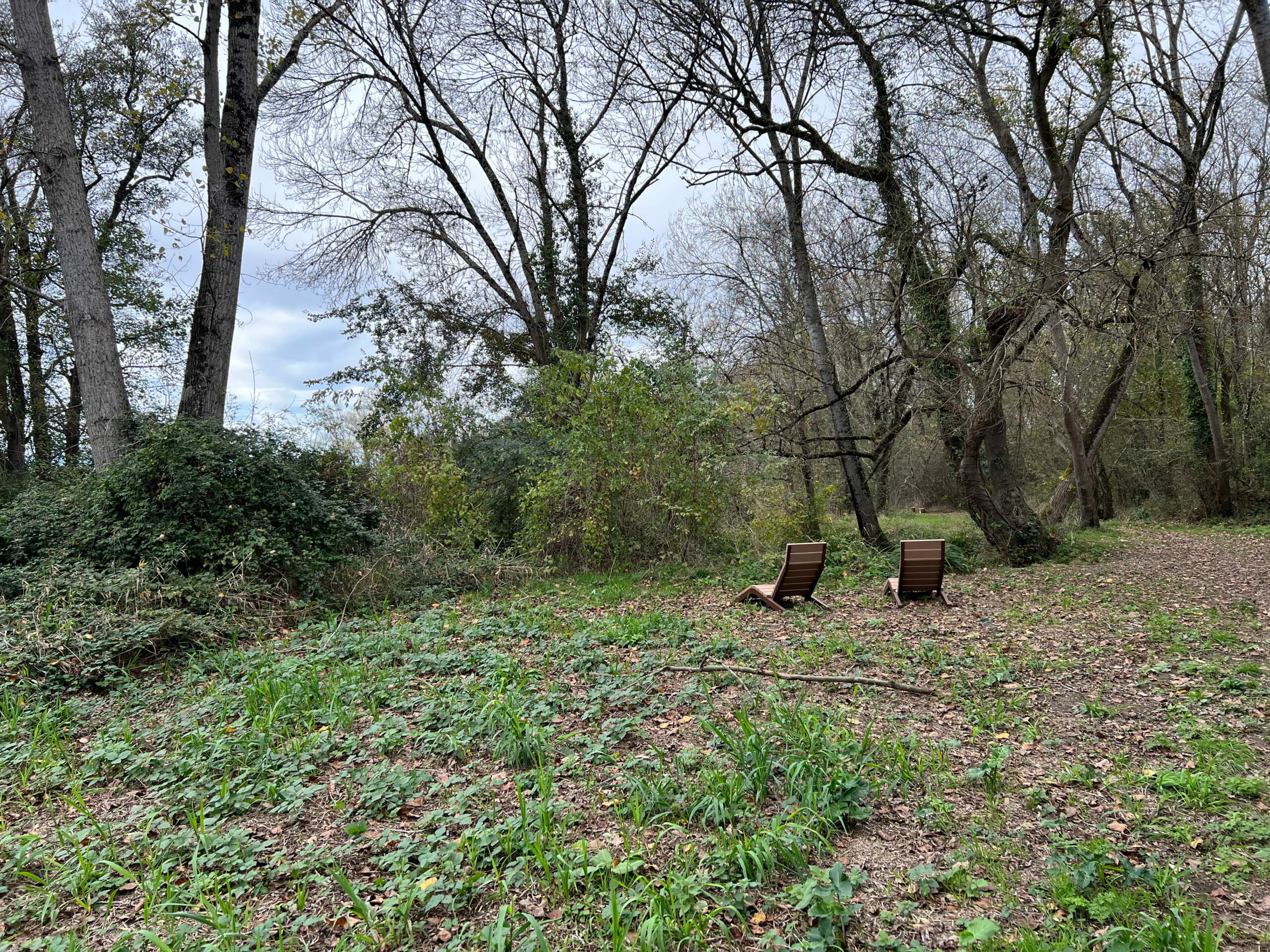 l-ateliersdepossibles _gua_foret2